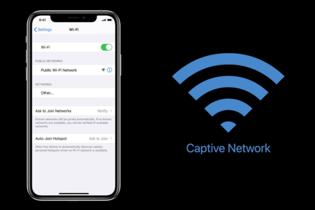 What is Captive Network Assistant