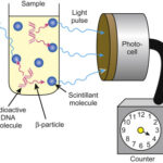 Advantages of Scintillation Detection Devices