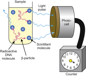 Advantages of Scintillation Detection Devices