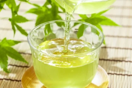 Green Teas and Its Health Benefits